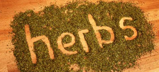 herbes aromatiques herbes aromatiques